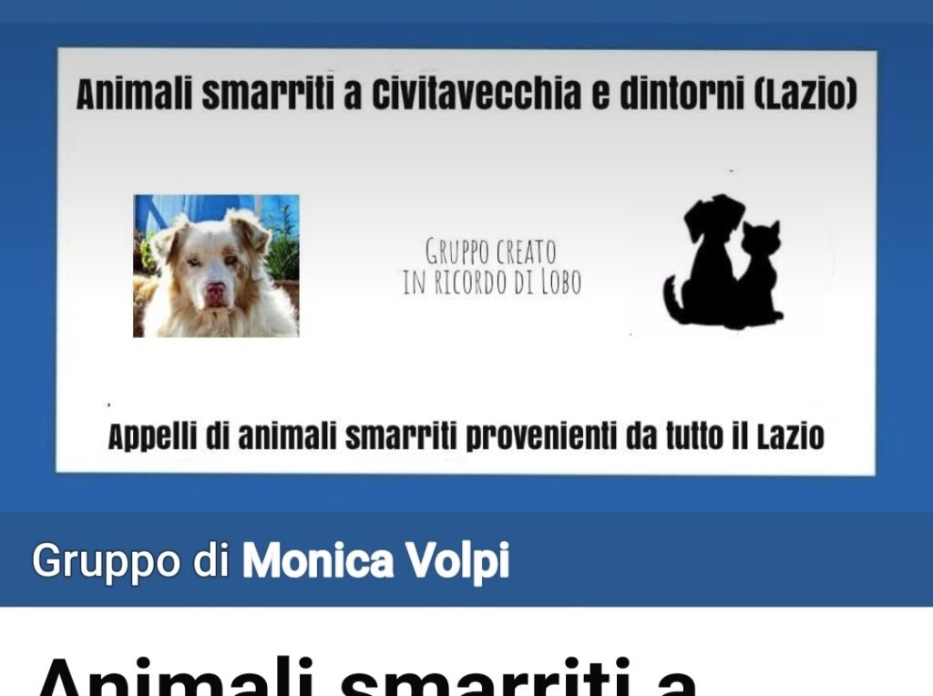 Allarme cani scomparsi, la denuncia da Civitavecchia