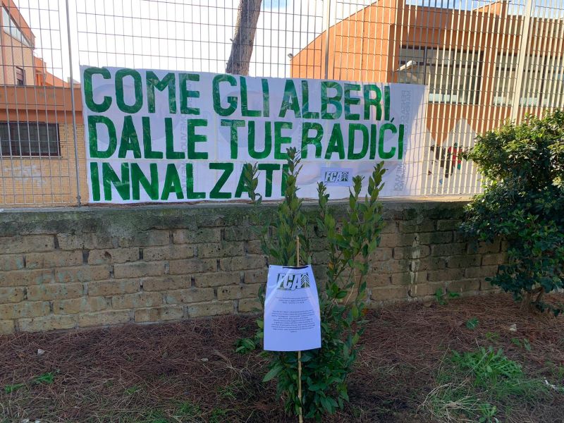 Festa dell'albero, Foresta Che Avanza: 