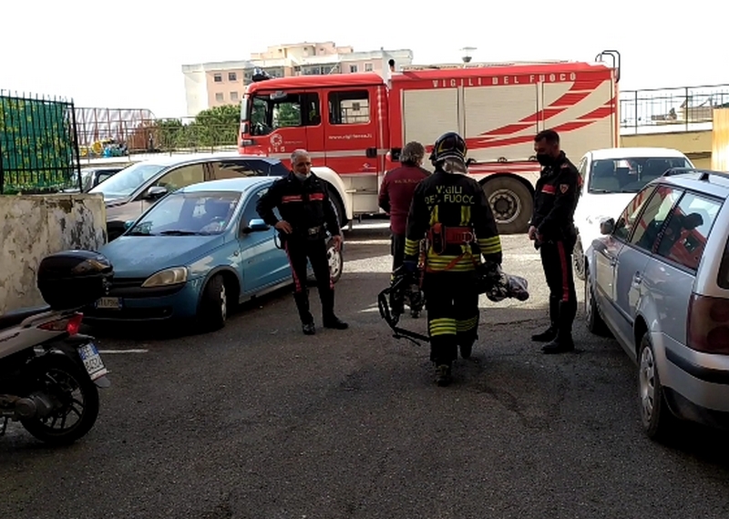 Momenti di tensione in via della Quercia